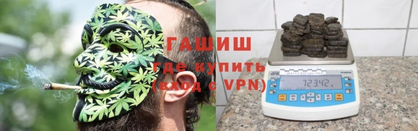 стаф Аркадак