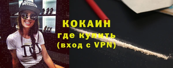 стаф Аркадак