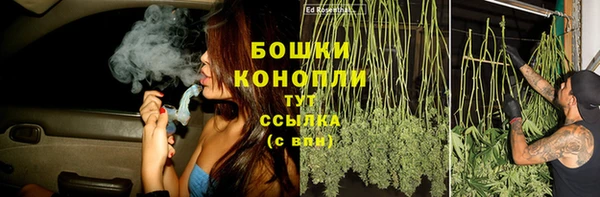 стаф Аркадак