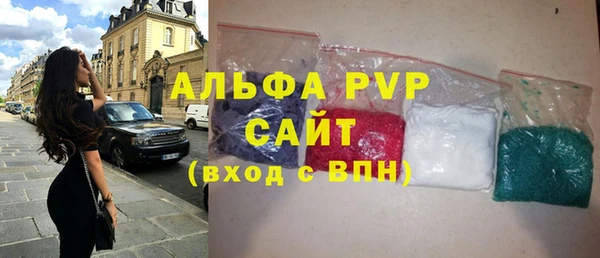 стаф Аркадак