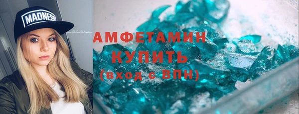 стаф Аркадак
