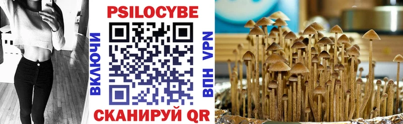 Псилоцибиновые грибы прущие грибы  Павловск 